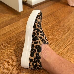Steve Madden  Leopard print